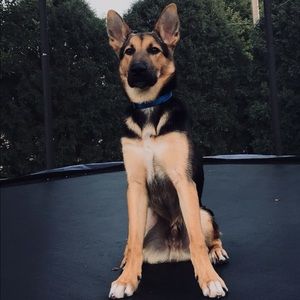 Meet your Posher, Nancy